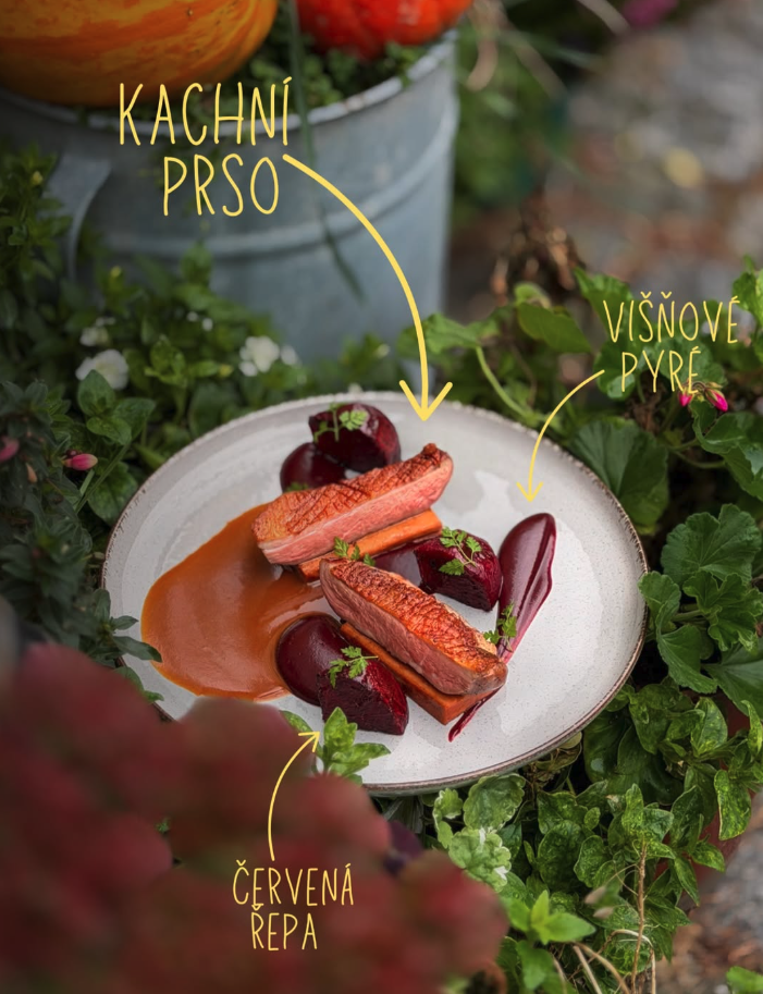 Kachní prso — složení pokrmu